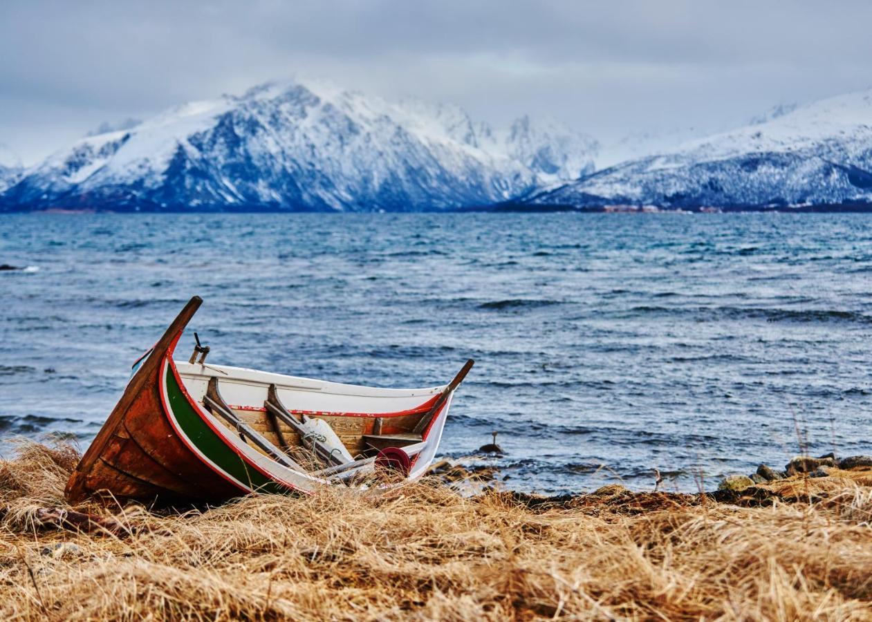 Ringstad Resort Bo (Nordland) Exterior foto